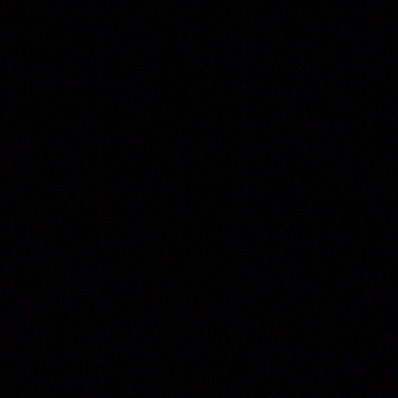 Meet your Posher, Ruby - Picture 1 of 1